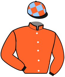 casaque portée par Fresneau Mlle K. jockey du cheval de course HELLO RUNNER, information pmu ZETURF