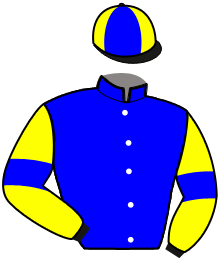 casaque portée par Sorel J. Ch. jockey du cheval de course LAVINIA DES ILES, information pmu ZETURF