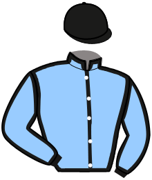 casaque portée par Repichet P. jockey du cheval de course LINEA DE CRENNES, information pmu ZETURF