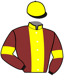 casaque portée par Bekaert D. jockey du cheval de course LITTLE UP, information pmu ZETURF