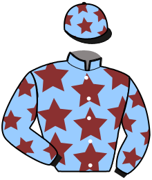 casaque portée par Ensch N. jockey du cheval de course LORIE D'ERPION, information pmu ZETURF