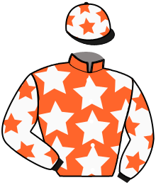 casaque portée par Thonnel Mlle C. jockey du cheval de course LAGUARDA DU BOCAGE, information pmu ZETURF