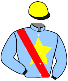 casaque portée par Mouesan H. jockey du cheval de course NEBUR, information pmu ZETURF