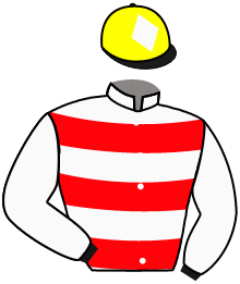 casaque portée par Guedj-gay G. jockey du cheval de course ANDRESY, information pmu ZETURF