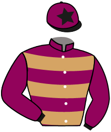 casaque portée par Le Quilleuc S. jockey du cheval de course ANOLANTE, information pmu ZETURF