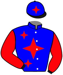 casaque portée par Le Callonec Mae. jockey du cheval de course MIKEY, information pmu ZETURF