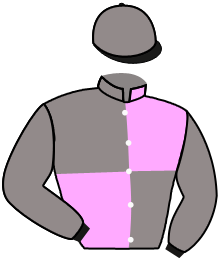 casaque portée par Protti Mar. jockey du cheval de course GUSTAN, information pmu ZETURF