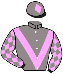 casaque portée par Loaiza C. A. jockey du cheval de course DIMANCHE SOIR, information pmu ZETURF