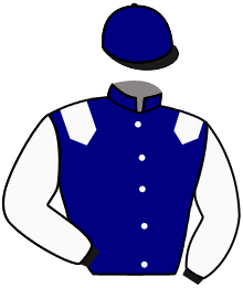casaque portée par Merou Mlle A. jockey du cheval de course AIVLIS, information pmu ZETURF