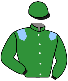 casaque portée par Demuro C. jockey du cheval de course KATRAIN DE GHAZAL, information pmu ZETURF