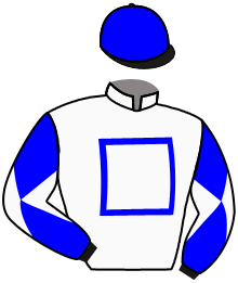 casaque portée par Romary Mlle M. jockey du cheval de course BIN NARAIN, information pmu ZETURF