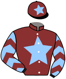casaque portée par Dubord Rom. jockey du cheval de course BALEGRIO, information pmu ZETURF