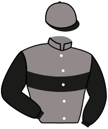 casaque portée par Guedj-gay G. jockey du cheval de course ADELA, information pmu ZETURF