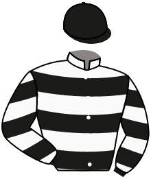casaque portée par Foulon M. jockey du cheval de course PETITE COQUINE, information pmu ZETURF