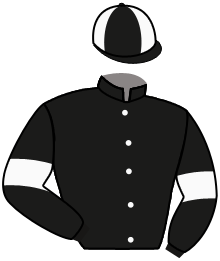 casaque portée par Mayeur R. jockey du cheval de course LEIKA, information pmu ZETURF
