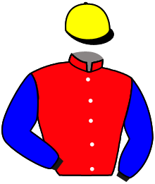 casaque portée par Lefebvre Mr C. jockey du cheval de course MATUTINA, information pmu ZETURF