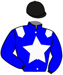 casaque portée par Morin V. jockey du cheval de course LIGHTNING ARROW, information pmu ZETURF