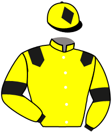 casaque portée par Dubourg K. jockey du cheval de course HO MILADY, information pmu ZETURF