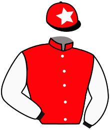 casaque portée par Colson L. jockey du cheval de course CORPS CELESTE, information pmu ZETURF