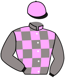 casaque portée par Marie Benj. jockey du cheval de course DREYFUSARD, information pmu ZETURF