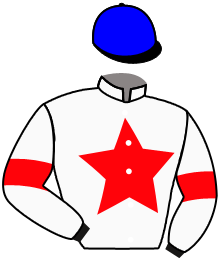 casaque portée par Bernard A. jockey du cheval de course FALIMAX, information pmu ZETURF