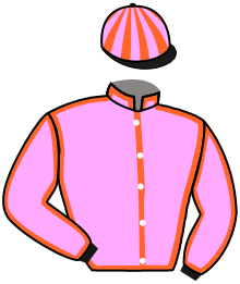 casaque portée par Roussel Leo jockey du cheval de course FLEUR DE JAVA, information pmu ZETURF