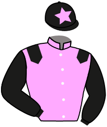casaque portée par Lefebvre F. jockey du cheval de course MISS CHACHA, information pmu ZETURF