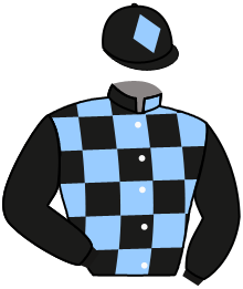 casaque portée par Boisseau L. jockey du cheval de course PEYTON PLACE, information pmu ZETURF