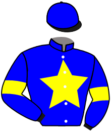 casaque portée par Molins Mme Amb. jockey du cheval de course GALA DE CERISY, information pmu ZETURF
