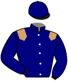 casaque portée par Molins Mme Amb. jockey du cheval de course AMERICANO, information pmu ZETURF