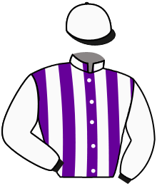 casaque portée par Rousset Y. jockey du cheval de course PICANES, information pmu ZETURF