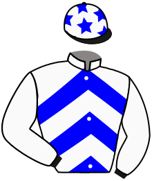 casaque portée par Veron F. jockey du cheval de course JUDICIOUS GAME, information pmu ZETURF