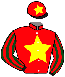 casaque portée par Lefebvre F. jockey du cheval de course ESTELLA MOBRAY, information pmu ZETURF