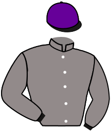 casaque portée par Demuro C. jockey du cheval de course SILHAM, information pmu ZETURF