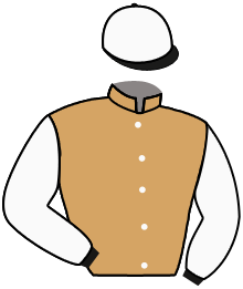casaque portée par Mangione R. jockey du cheval de course EL KRAKEN, information pmu ZETURF