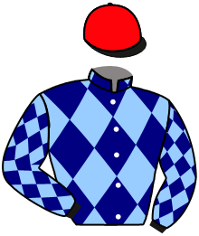 casaque portée par Bails Mlle L. jockey du cheval de course LA BILLEBAUDE, information pmu ZETURF casaque portée par Bails Mlle L. jockey du cheval de course LA BILLEBAUDE, information pmu ZETURF