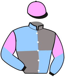 casaque portée par Tugend F. jockey du cheval de course MALEFIQUE D'ARIES, information pmu ZETURF casaque portée par Tugend F. jockey du cheval de course MALEFIQUE D'ARIES, information pmu ZETURF