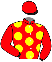 casaque portée par Guelpa J. jockey du cheval de course LEONITO STAR, information pmu ZETURF casaque portée par Guelpa J. jockey du cheval de course LEONITO STAR, information pmu ZETURF