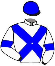 casaque portée par Mendizabal I. jockey du cheval de course VOIKOVSKI, information pmu ZETURF casaque portée par Mendizabal I. jockey du cheval de course VOIKOVSKI, information pmu ZETURF