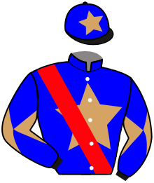 casaque portée par Hardouin E. jockey du cheval de course QUEEN LAURIE, information pmu ZETURF casaque portée par Hardouin E. jockey du cheval de course QUEEN LAURIE, information pmu ZETURF