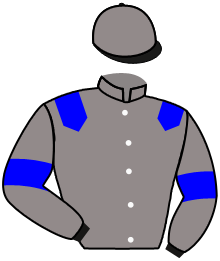 casaque portée par Lemaitre A. jockey du cheval de course TADUKHIPA, information pmu ZETURF casaque portée par Lemaitre A. jockey du cheval de course TADUKHIPA, information pmu ZETURF