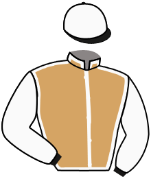 casaque portée par Sias Gio. jockey du cheval de course KATANA DES ROCS, information pmu ZETURF casaque portée par Sias Gio. jockey du cheval de course KATANA DES ROCS, information pmu ZETURF