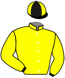 casaque portée par Madamet A. jockey du cheval de course BLANCHE EPINE, information pmu ZETURF casaque portée par Madamet A. jockey du cheval de course BLANCHE EPINE, information pmu ZETURF
