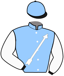 casaque portée par Bachelot T. jockey du cheval de course SUMMER WINE, information pmu ZETURF casaque portée par Bachelot T. jockey du cheval de course SUMMER WINE, information pmu ZETURF