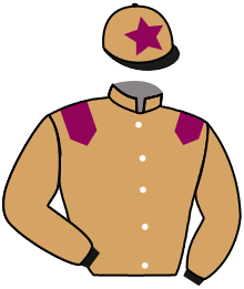casaque portée par Pouchin A. jockey du cheval de course RAYO DE LUZ, information pmu ZETURF casaque portée par Pouchin A. jockey du cheval de course RAYO DE LUZ, information pmu ZETURF