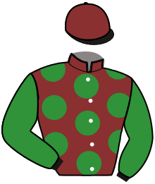 casaque portée par Sionneau H. jockey du cheval de course JOPLIN DES CROUAS, information pmu ZETURF casaque portée par Sionneau H. jockey du cheval de course JOPLIN DES CROUAS, information pmu ZETURF