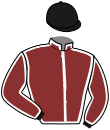 casaque portée par Besse Mlle D. jockey du cheval de course KAY, information pmu ZETURF casaque portée par Besse Mlle D. jockey du cheval de course KAY, information pmu ZETURF