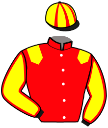 casaque portée par Le Guerch Mme Léa jockey du cheval de course KOKO MARBOULA, information pmu ZETURF casaque portée par Le Guerch Mme Léa jockey du cheval de course KOKO MARBOULA, information pmu ZETURF