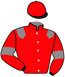 casaque portée par Pou Pou G. A. jockey du cheval de course LATINO LA MAZURE, information pmu ZETURF casaque portée par Pou Pou G. A. jockey du cheval de course LATINO LA MAZURE, information pmu ZETURF