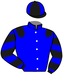 casaque portée par Raimbeaux N. jockey du cheval de course MAMBO FIVE, information pmu ZETURF casaque portée par Raimbeaux N. jockey du cheval de course MAMBO FIVE, information pmu ZETURF